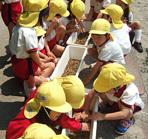 認定こども園 アソカ幼稚園