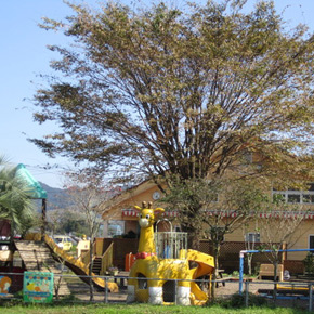 志和池さくらんぼこども園