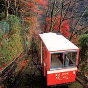 対星館花かじか