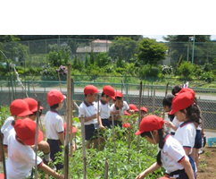 学校法人東山学園 坂戸あずま幼稚園 埼玉県坂戸市 幼稚園 E Navita イーナビタ 駅周辺 街のスポット情報検索サイト 学校法人東山学園 坂戸あずま幼稚園 埼玉県坂戸市 幼稚園 E Navita イーナビタ 駅周辺 街のスポット情報検索サイト