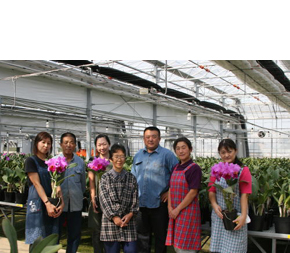 カトレアの山野井洋蘭