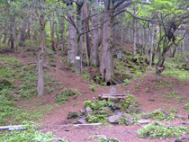 富士見高原リゾート