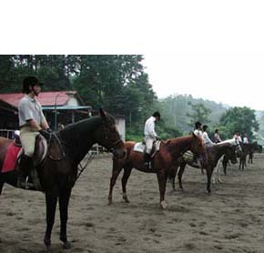 日の出乗馬倶楽部