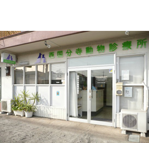 西国分寺動物診療所