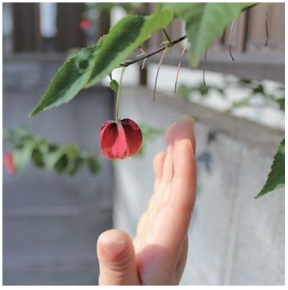 八千代佐倉総合法律事務所