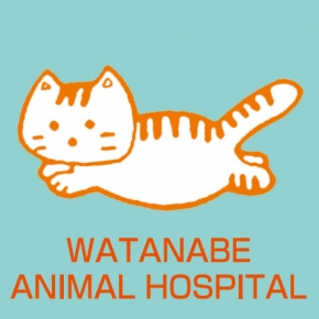 渡辺動物病院