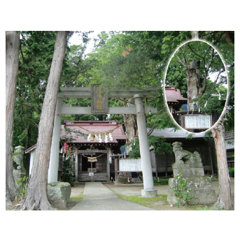 鹿嶋神社