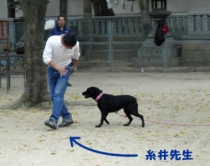 帝塚山ショードッグ & しつけスクール