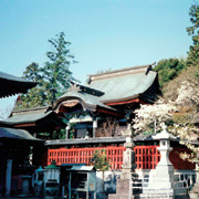 肥後本妙寺