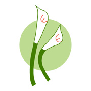 熊本看護専門学校