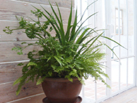 株式会社ふくろうサポート