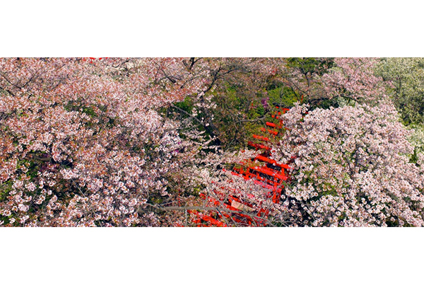 千代保稲荷神社名古屋支所