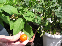 特別養護老人ホーム K-maisonときめき