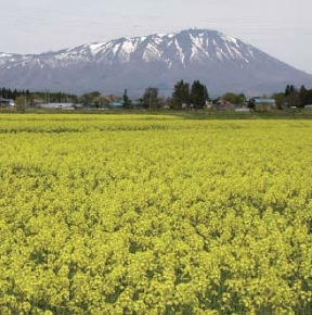 住宅型有料老人ホーム ベルヴェーレの里