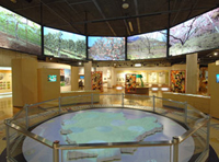 山梨県笛吹川フルーツ公園