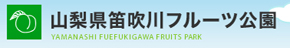 山梨県笛吹川フルーツ公園