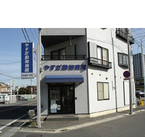 やすだ動物病院