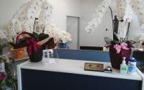 井上司法書士事務所