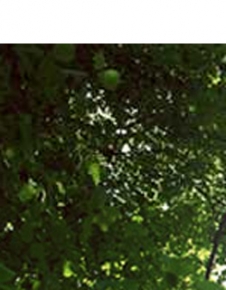 株式会社エヌ・ケーハウジング