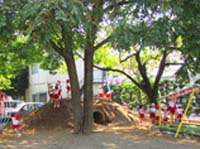 朝霞たちばな幼稚園