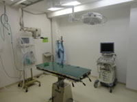 指扇ペットクリニック