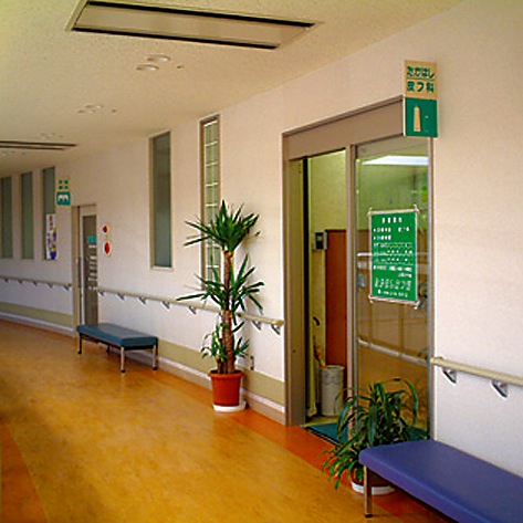 たかはし皮ﾌ科