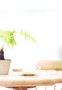 博多駅前法律事務所