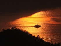 さくら海運株式会社