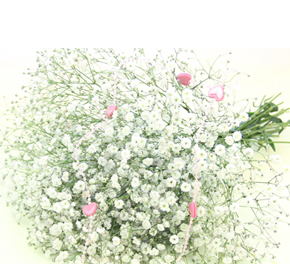 すず社会保険労務士事務所