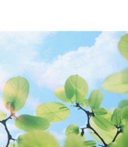 特別養護老人ホーム みどり園