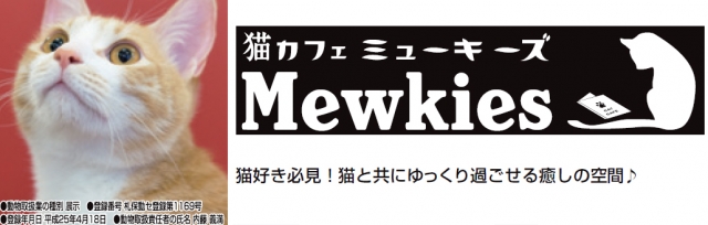 猫カフェMewkies