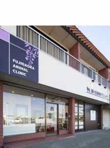 藤が丘動物クリニック