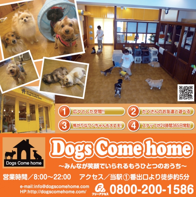 Dogs Come home