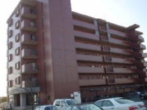 株式会社 中央開発