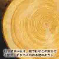 株式会社きくみie