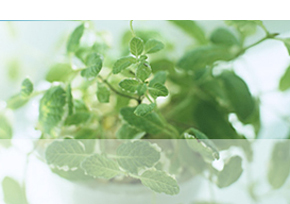 タカダ・エコプランニング