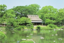 出水神社 水前寺成趣園