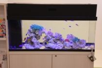 さんとう耳鼻咽喉科