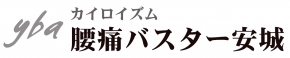 腰痛バスター安城