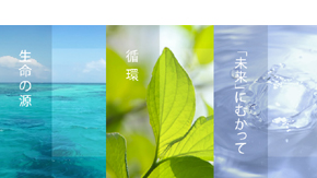 有限会社カワナ管理