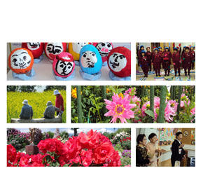 有限会社ゆりかご