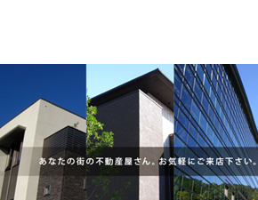 有限会社しんせい商事