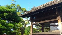 金剛院