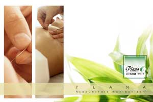 はり灸治療Plana プラーナ