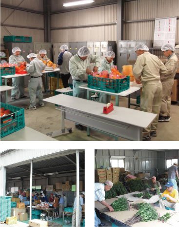 障がい者総合支援センター心陽