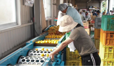 障がい者総合支援センター心陽