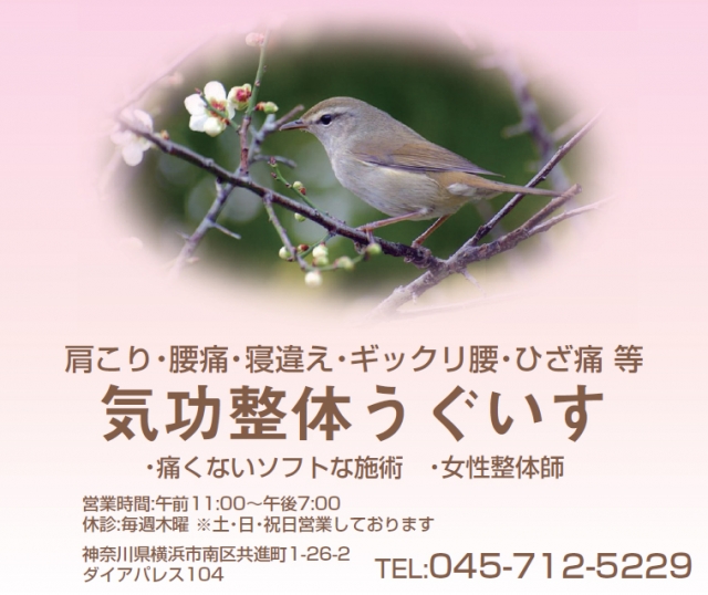 気功整体うぐいす