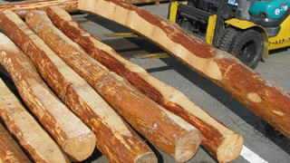 オールスタッフ株式会社