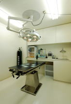 オハナ動物病院