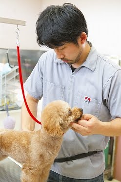 ペットクリニック井上